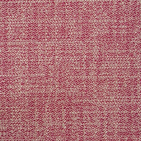 Big_capri_rhino_431_1