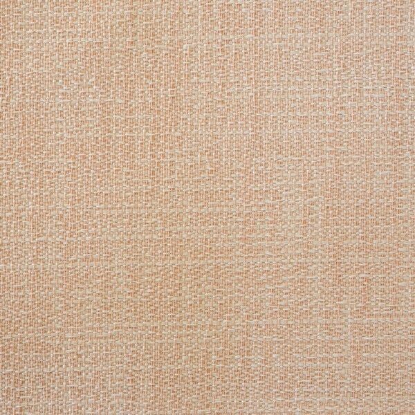 Big_capri_rhino_428_1