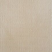 Thumb_capri_rhino_442_1