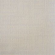 Thumb_capri_rhino_436_1