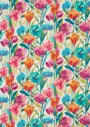 Thumb_120519_1