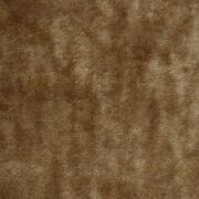 Thumb_131598_1