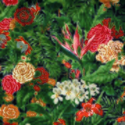 Thumb_133245_1