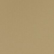 Thumb_133269_1