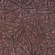 Thumb_7071_02_42_1