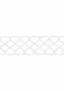 Thumb_e12031_1
