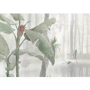 Thumb_0003_a_korall_1