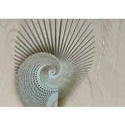 Thumb_0011_a_korall_1