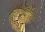 Thumb_0011_g1_oro_1
