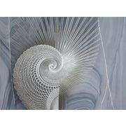 Thumb_0011_s1_ardzhento_1