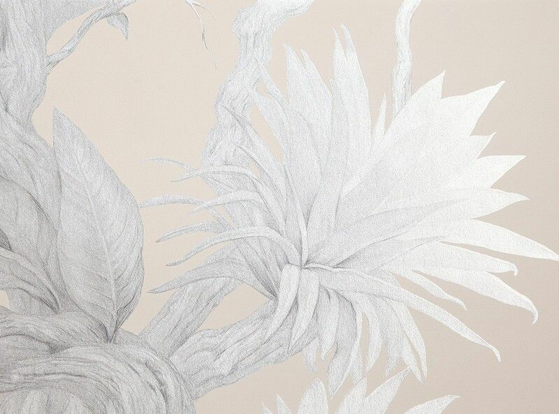 Big_0005_s1_ardzhento_1