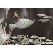 Thumb_0003_s1_ardzhento_1