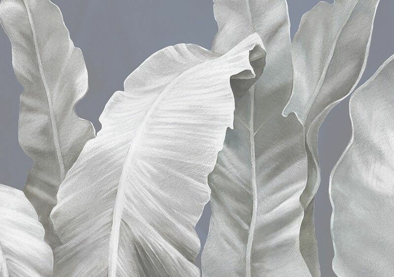 Big_0010_s1_ardzhento_1