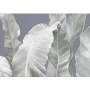 Thumb_0010_s1_ardzhento_1