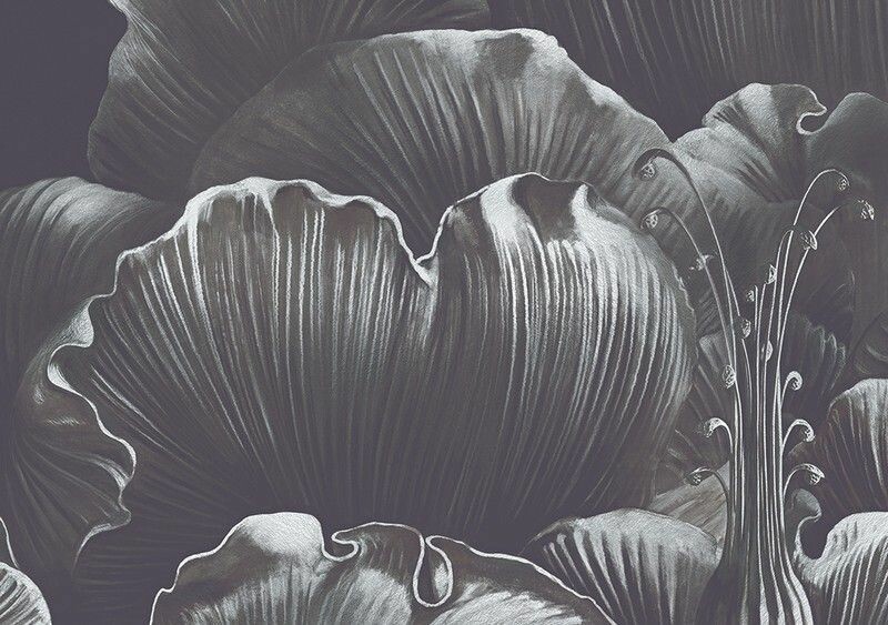 Big_0007_s1_ardzhento_1