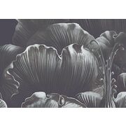 Thumb_0007_s1_ardzhento_1