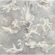 Thumb_0009_b_terra_1