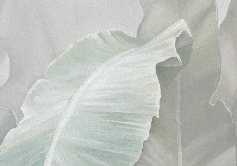 Big_0010_a_papirus_1