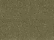 Thumb_2725_91_1