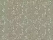 Thumb_2730_17_1