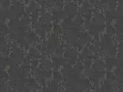 Thumb_2730_62_1