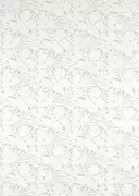 Thumb_133467_1