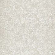 Thumb_133475_1
