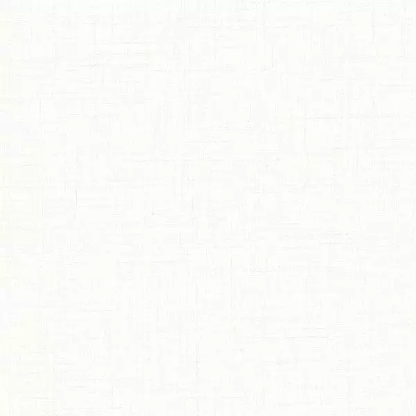 Big_8532_02_88_rvsd_1