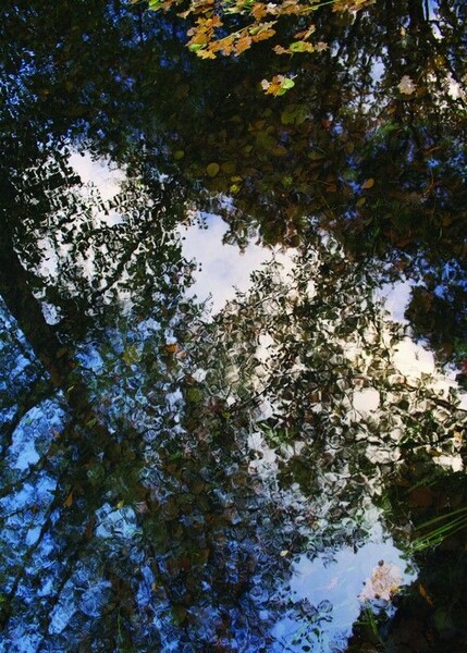 Big_8534_15_47_rvsd_1