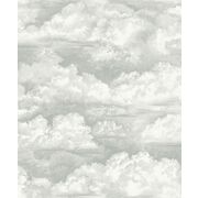 Thumb_8530_73_35_rvsd_1