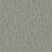 Thumb_8531_72_76_rvsd_1