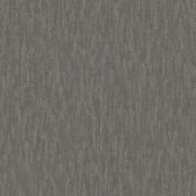 Thumb_8531_96_75_rvsd_1