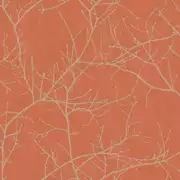 Thumb_1696_31_07_rvsd_1