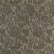 Thumb_kinta_yp16005_1