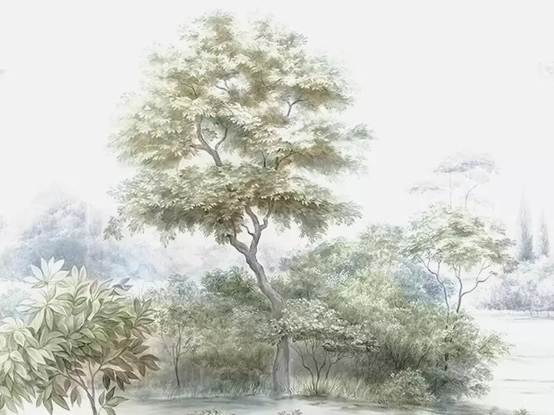Big_tr_01_1