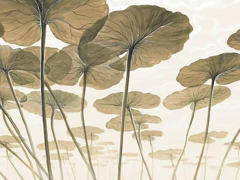 Big_jvs_06_1