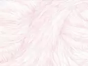 Thumb_jvs_11_1