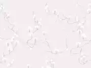Thumb_pp_01_1
