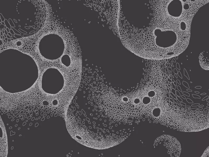Big_geo_56_1