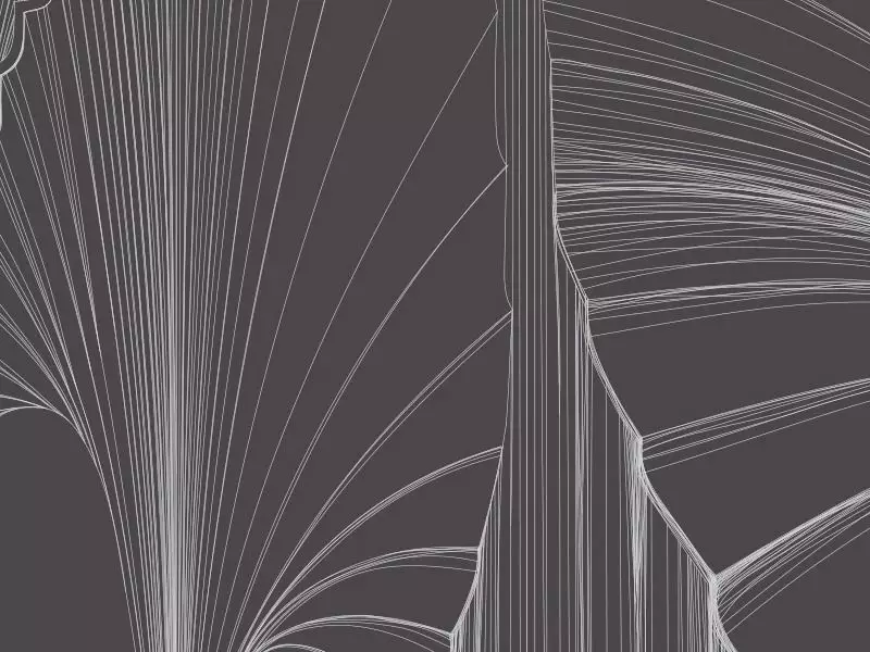 Big_geo_47_1