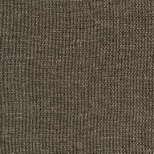 Medium_olarte_yp17005_1