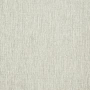 Thumb_zane_yp18006_1