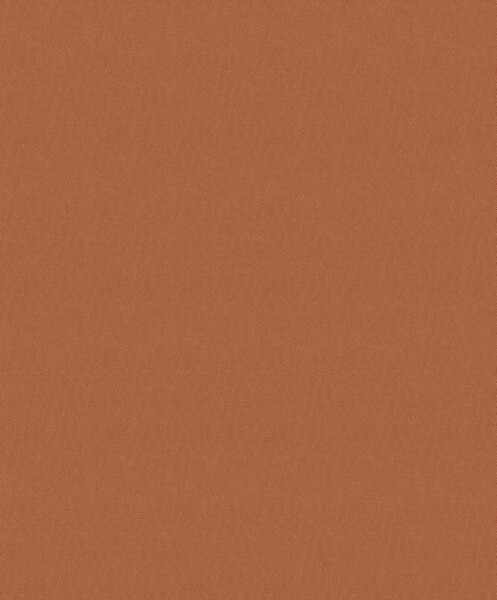 Big_8442_32_25_nang_1