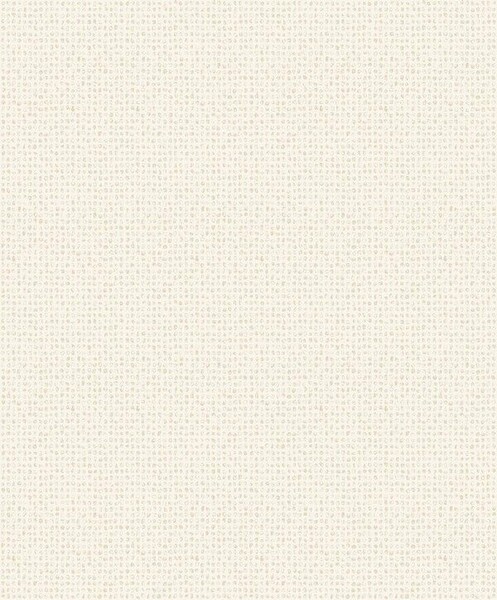 Big_8443_01_04_nang_1