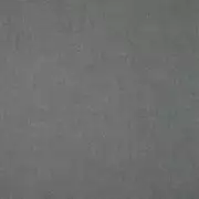 Thumb_tarana_yp18029_1
