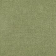 Thumb_tarana_yp18011_1