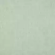 Thumb_tarana_yp18010_1