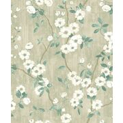 Thumb_8539_72_98_dely_1