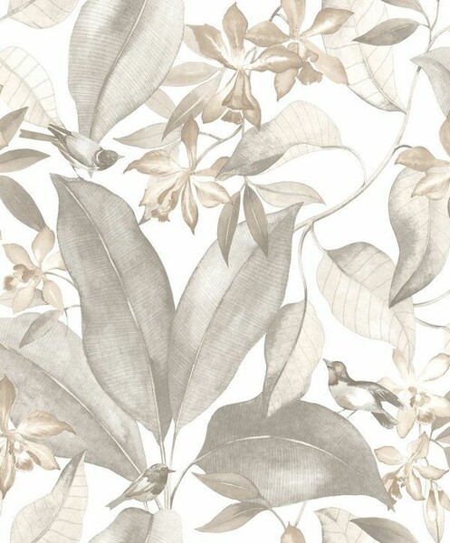 Big_8538_92_42_dely_1