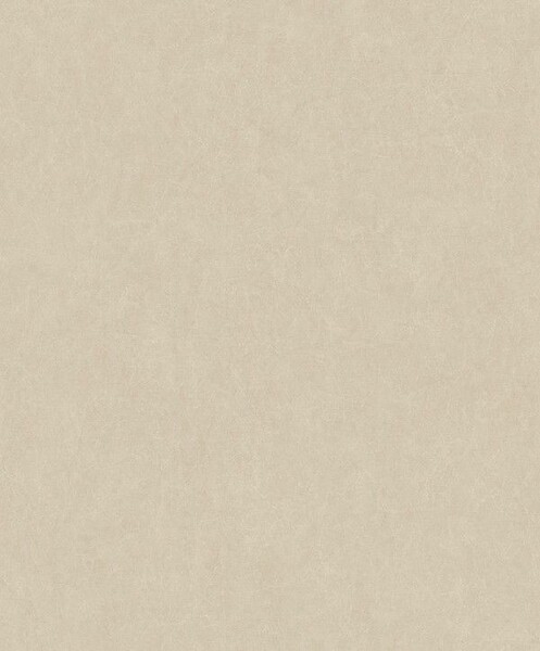 Big_8407_12_02_oxfd_1